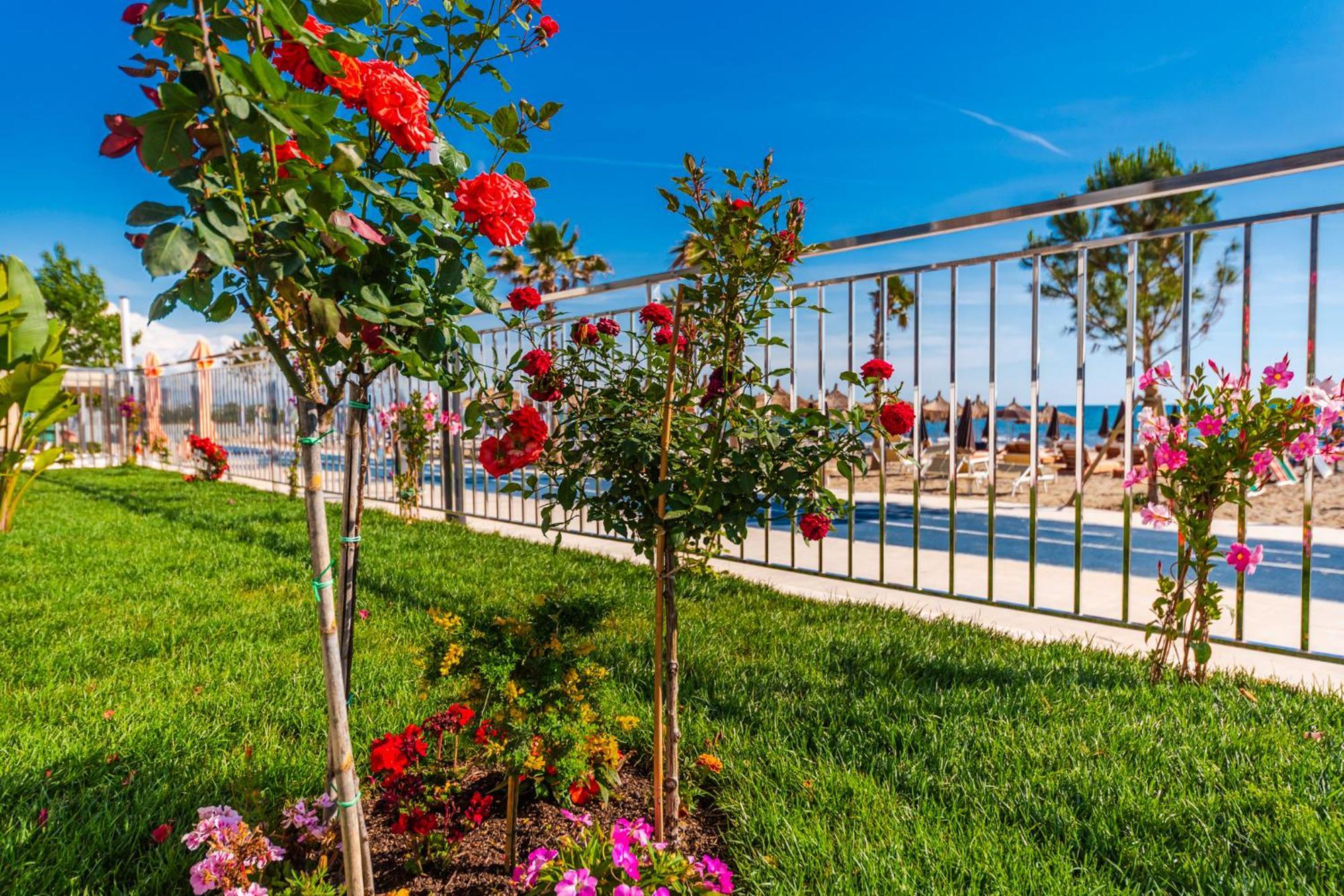 Sea View Apartments Eldo Durres Exterior photo